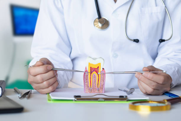 Best Emergency Root Canal Treatment in South Bloomfield, OH
